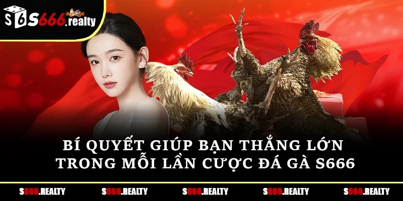 Bí quyết giúp bạn thắng lớn trong mỗi lần cược đá gà S666