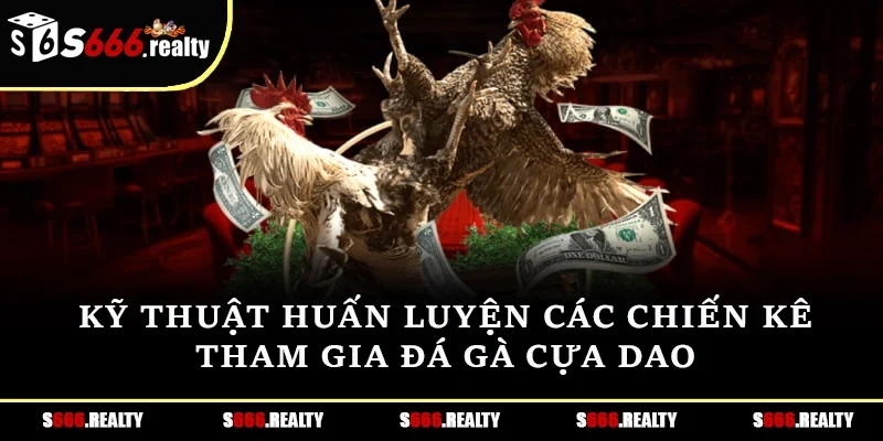 Kỹ thuật huấn luyện các chiến kê tham gia đá gà cựa dao