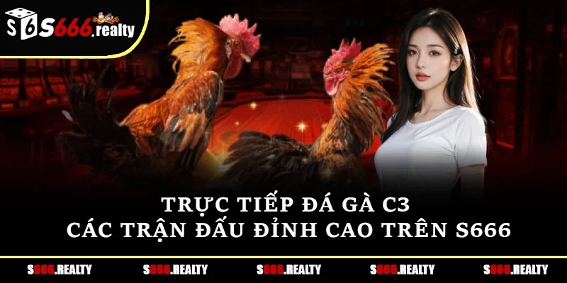 Đá gà c3