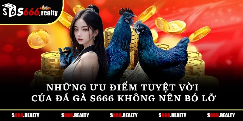 Những ưu điểm tuyệt vời của đá gà S666 không nên bỏ lỡ